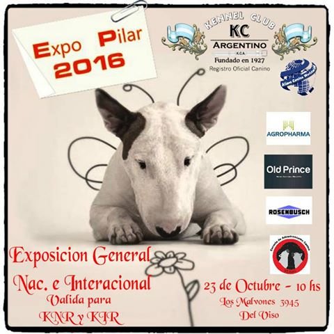 Exposición Pilar 2016