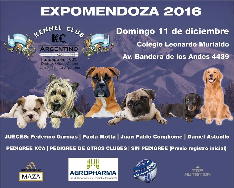 Exposición Internacional Mendoza, 11 de diciembre 2016