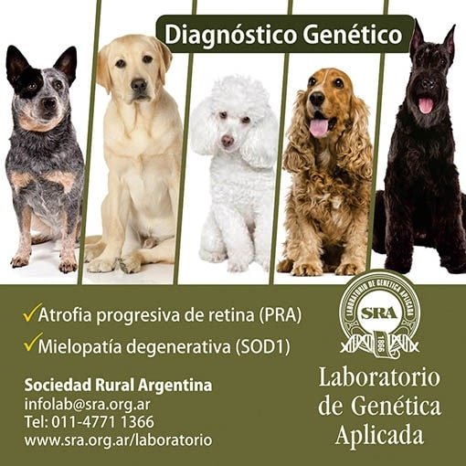 ADN Laboratorio de genética de la Sociedad rural argentina