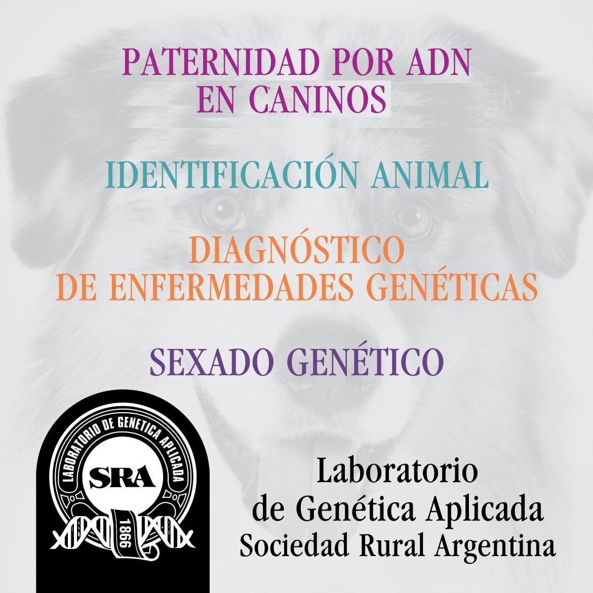 Laboratorio de Genética Aplicada Sociedad Rural Argentina