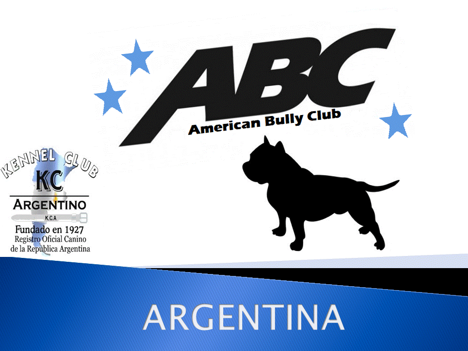 American Bully Club